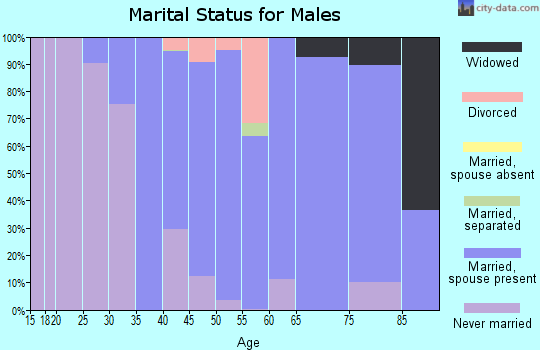 Zip code 01566 marital status for males