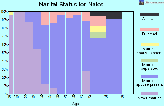 Zip code 01568 marital status for males