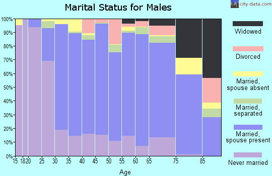 Zip code 01581 marital status for males