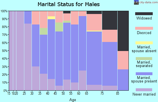 Zip code 01588 marital status for males