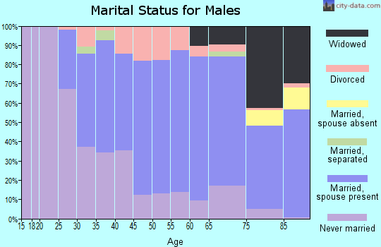 Zip code 01606 marital status for males