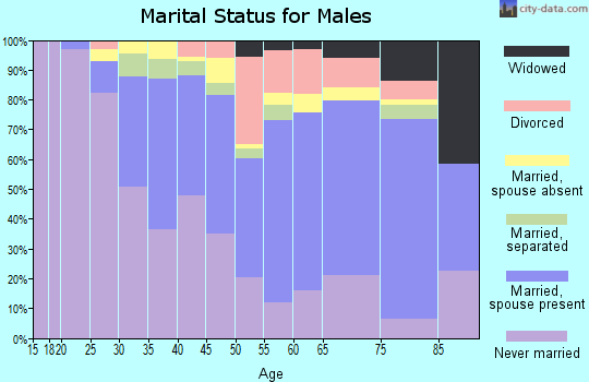 Zip code 01609 marital status for males