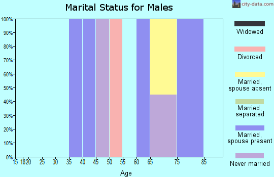 Zip code 01718 marital status for males