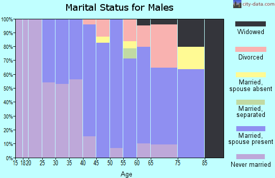 Zip code 01719 marital status for males