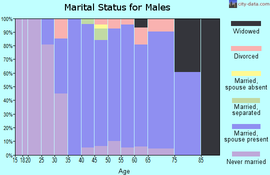 Zip code 01740 marital status for males