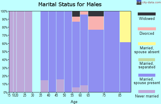 Zip code 01741 marital status for males