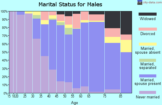 Zip code 01742 marital status for males