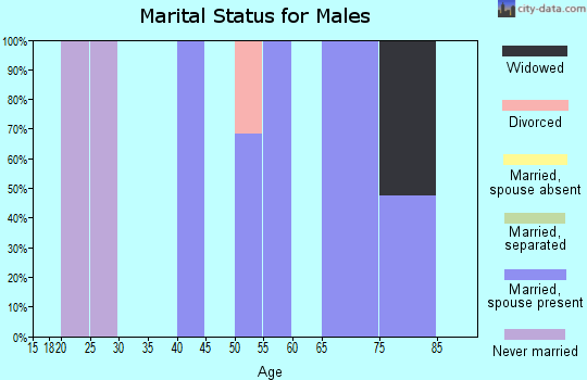 Zip code 01745 marital status for males