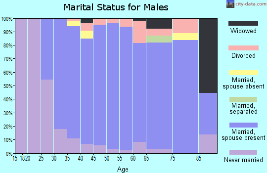 Zip code 01748 marital status for males