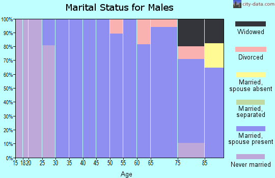 Zip code 01770 marital status for males