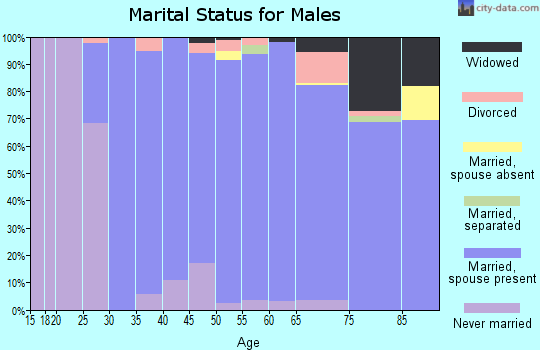 Zip code 01778 marital status for males