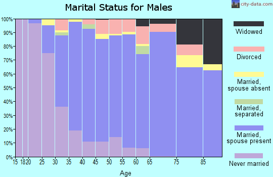 Zip code 01803 marital status for males