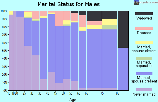 Zip code 01821 marital status for males