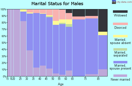 Zip code 01824 marital status for males