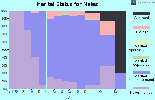 Zip code 01833 marital status for males
