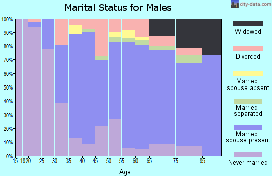 Zip code 01835 marital status for males