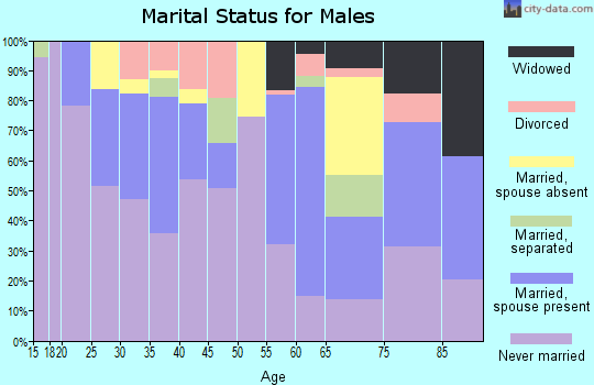Zip code 01840 marital status for males