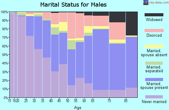 Zip code 01852 marital status for males