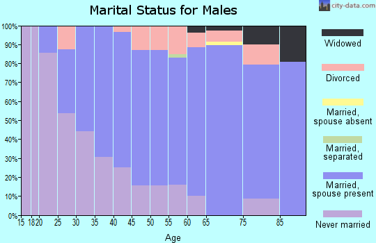 Zip code 01863 marital status for males