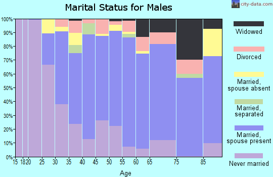 Zip code 01904 marital status for males