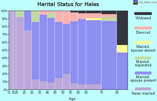 Zip code 01907 marital status for males