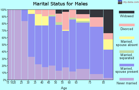 Zip code 01938 marital status for males