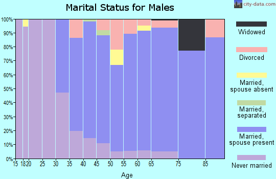 Zip code 01940 marital status for males