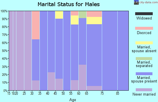 Zip code 01951 marital status for males