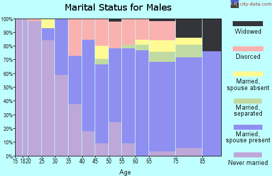 Zip code 01952 marital status for males