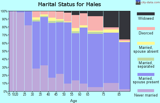 Zip code 01960 marital status for males