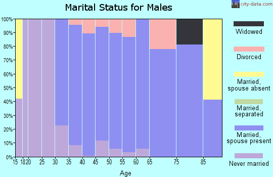 Zip code 01969 marital status for males