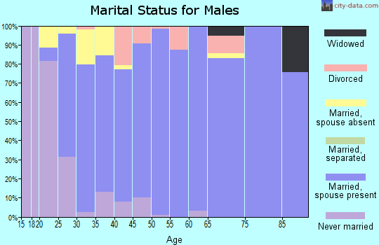 Zip code 01982 marital status for males