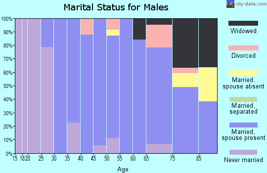 Zip code 01983 marital status for males