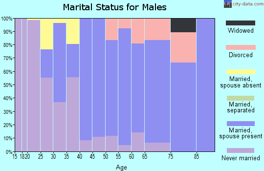 Zip code 01984 marital status for males