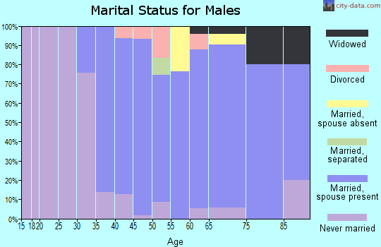 Zip code 01985 marital status for males