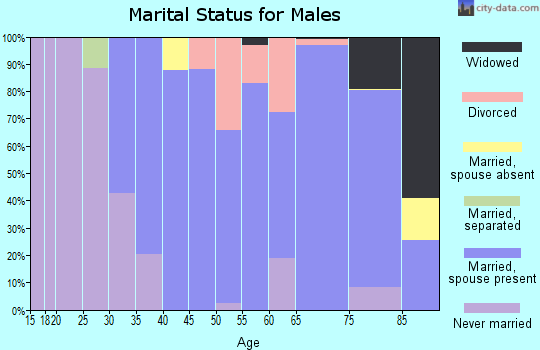 Zip code 02025 marital status for males