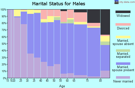 Zip code 02026 marital status for males