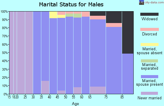 Zip code 02030 marital status for males