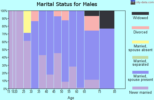 Zip code 02032 marital status for males