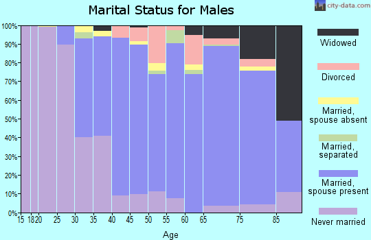 Zip code 02035 marital status for males