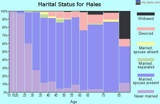 Zip code 02038 marital status for males