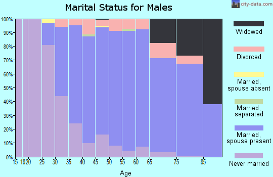 Zip code 02048 marital status for males