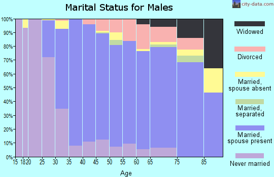 Zip code 02050 marital status for males