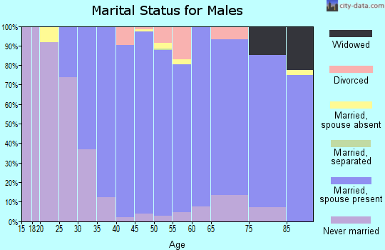 Zip code 02052 marital status for males