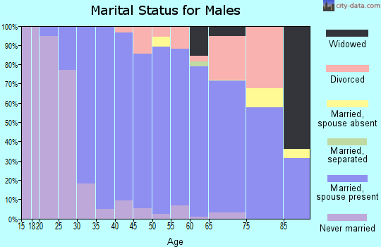 Zip code 02053 marital status for males