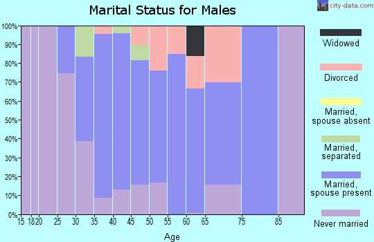 Zip code 02054 marital status for males