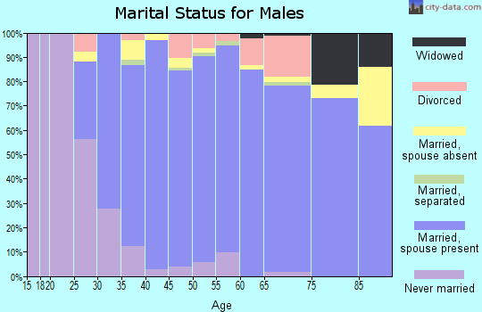Zip code 02067 marital status for males