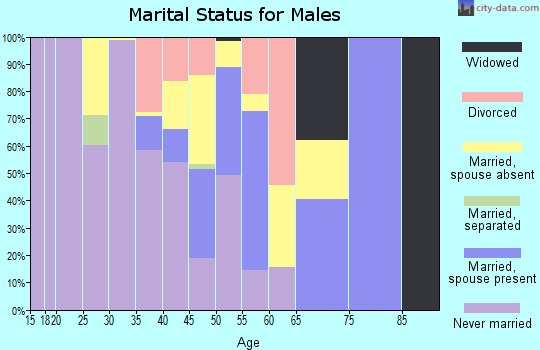 Zip code 02071 marital status for males