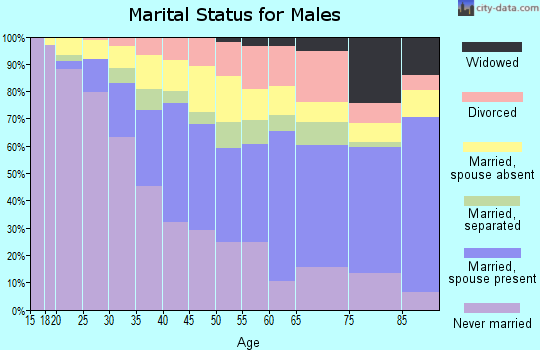 Zip code 02128 marital status for males