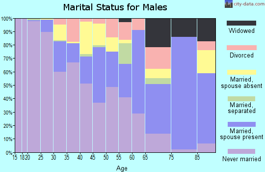 Zip code 02134 marital status for males